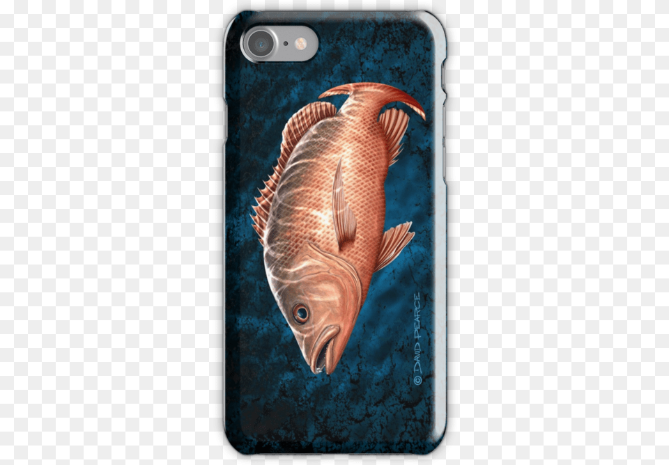 Warrior Cats Phone Case Iphone, Animal, Fish, Sea Life, Electronics Free Png