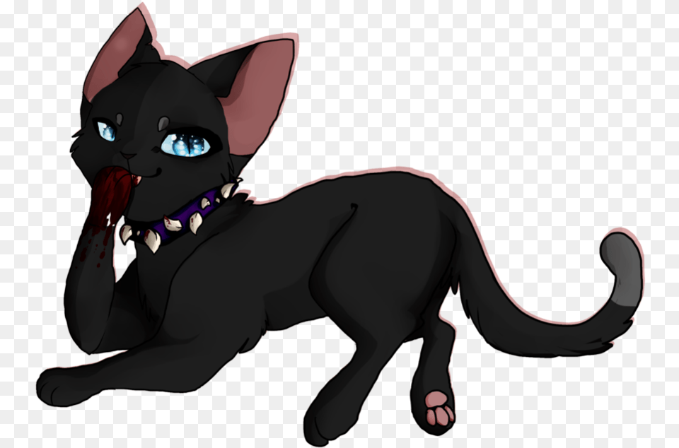 Warrior Cats Scourge, Animal, Cat, Mammal, Pet Png