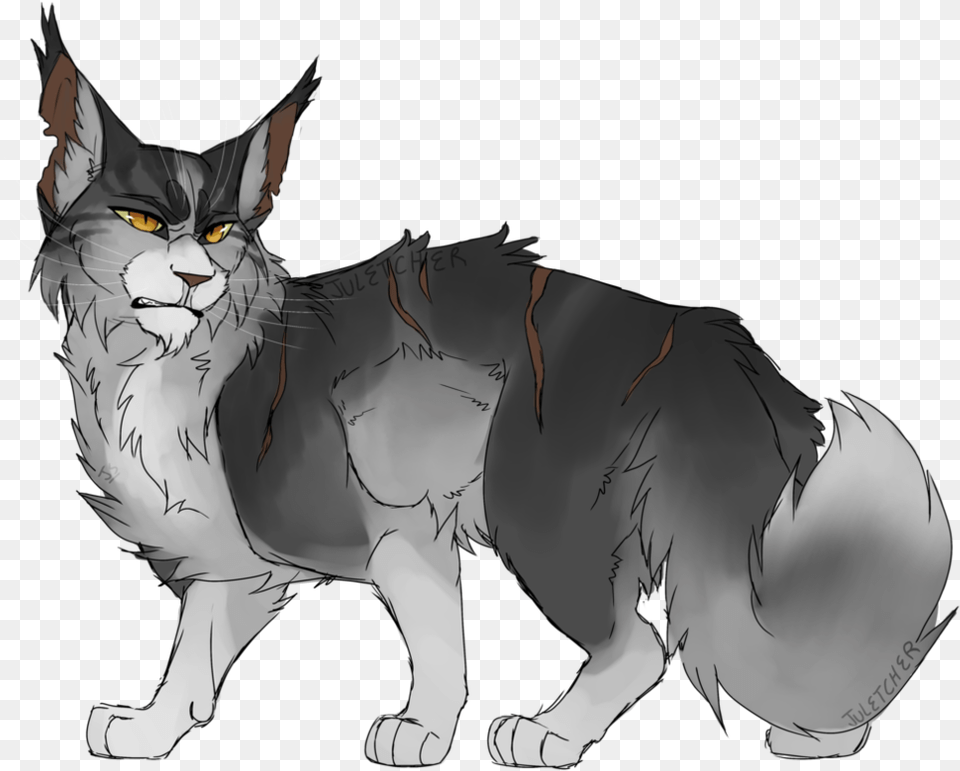 Warrior Cats Thistleclaw Fanart, Person, Animal, Cat, Mammal Free Png Download