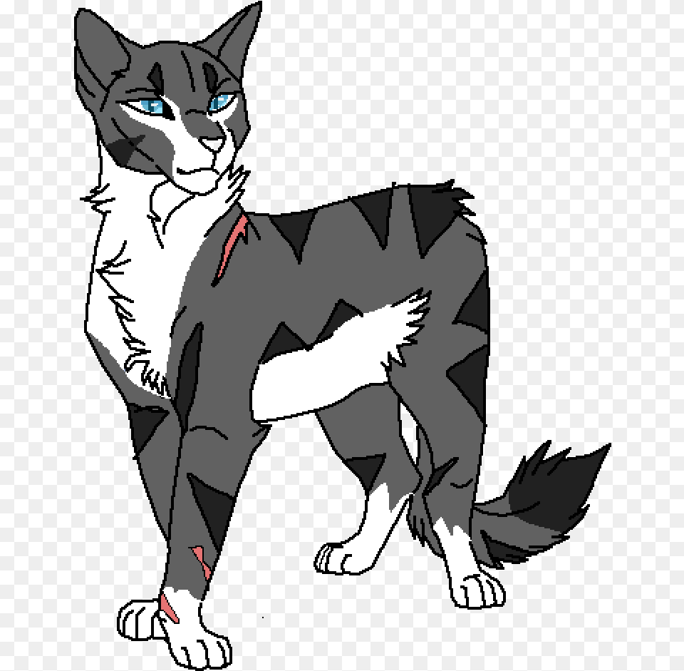 Warrior Cats White Oc, Publication, Book, Comics, Baby Free Transparent Png