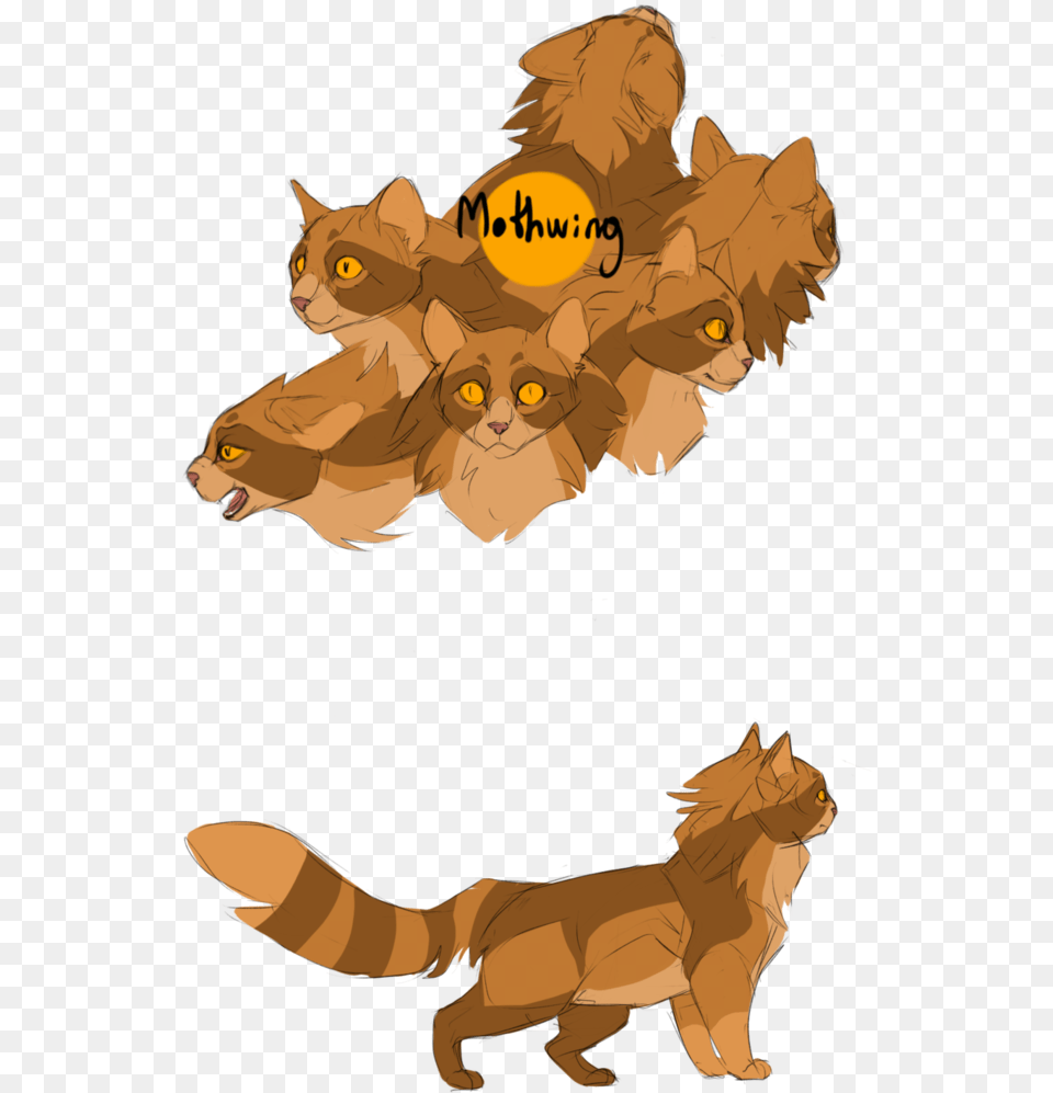 Warrior Clipart Lion Cartoon, Animal, Mammal, Wildlife, Baby Free Png Download