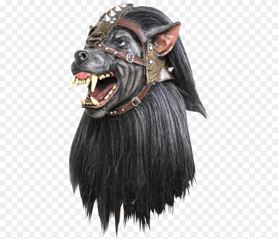 Warrior Wolf Mask, Animal, Bear, Mammal, Wildlife Free Png Download