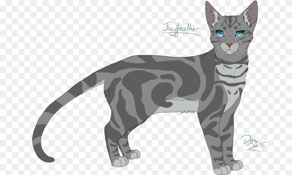 Warriors Jayfeather By Demiidee Warrior Cats Jayfeather X Stick, Animal, Cat, Mammal, Pet Png