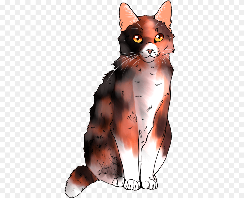 Warriors Ocamp Warrior Cats Calico Oc, Animal, Cat, Mammal, Pet Free Transparent Png