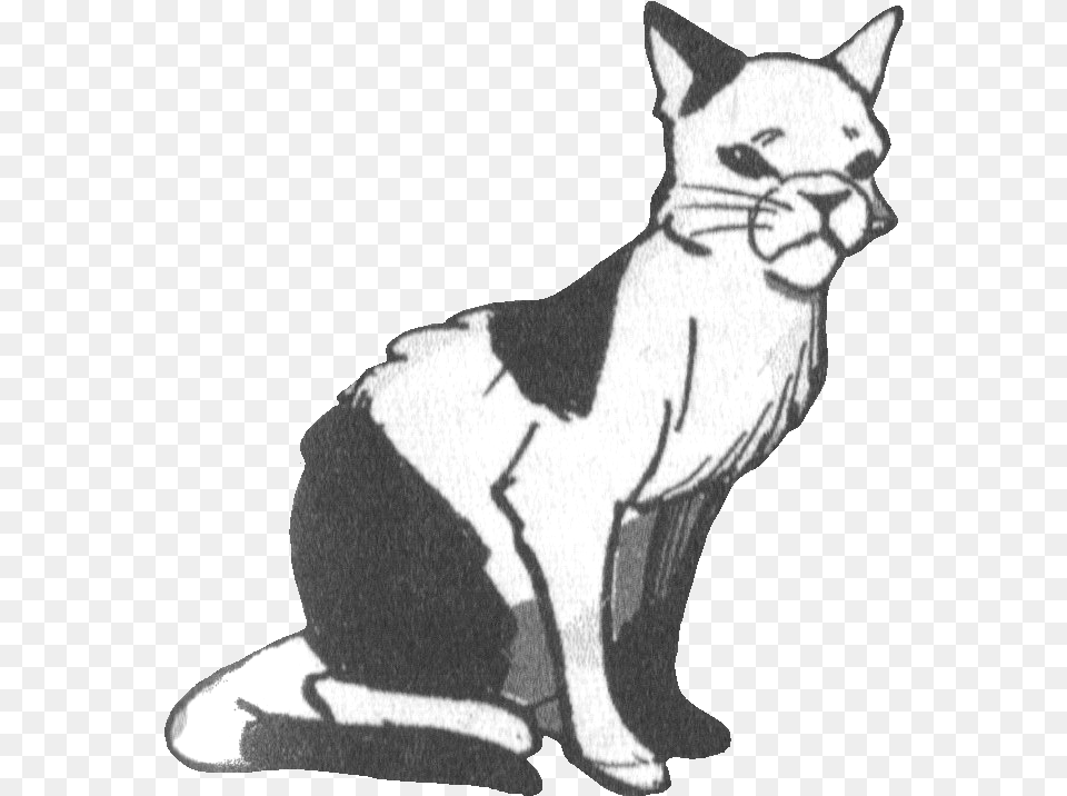 Warriors Wiki Domestic Short Haired Cat, Animal, Mammal, Pet, Egyptian Cat Free Transparent Png