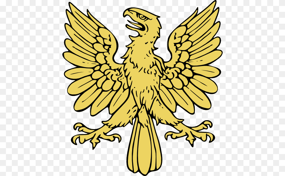 Warwick Law Society Clipart Eagle Clip Art Eagle, Baby, Person, Animal, Bird Free Png Download
