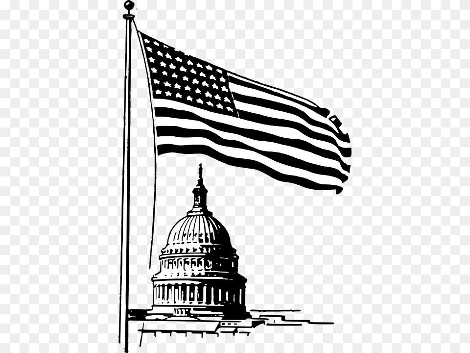 Washington Dc, American Flag, Flag, Animal, Mammal Free Transparent Png
