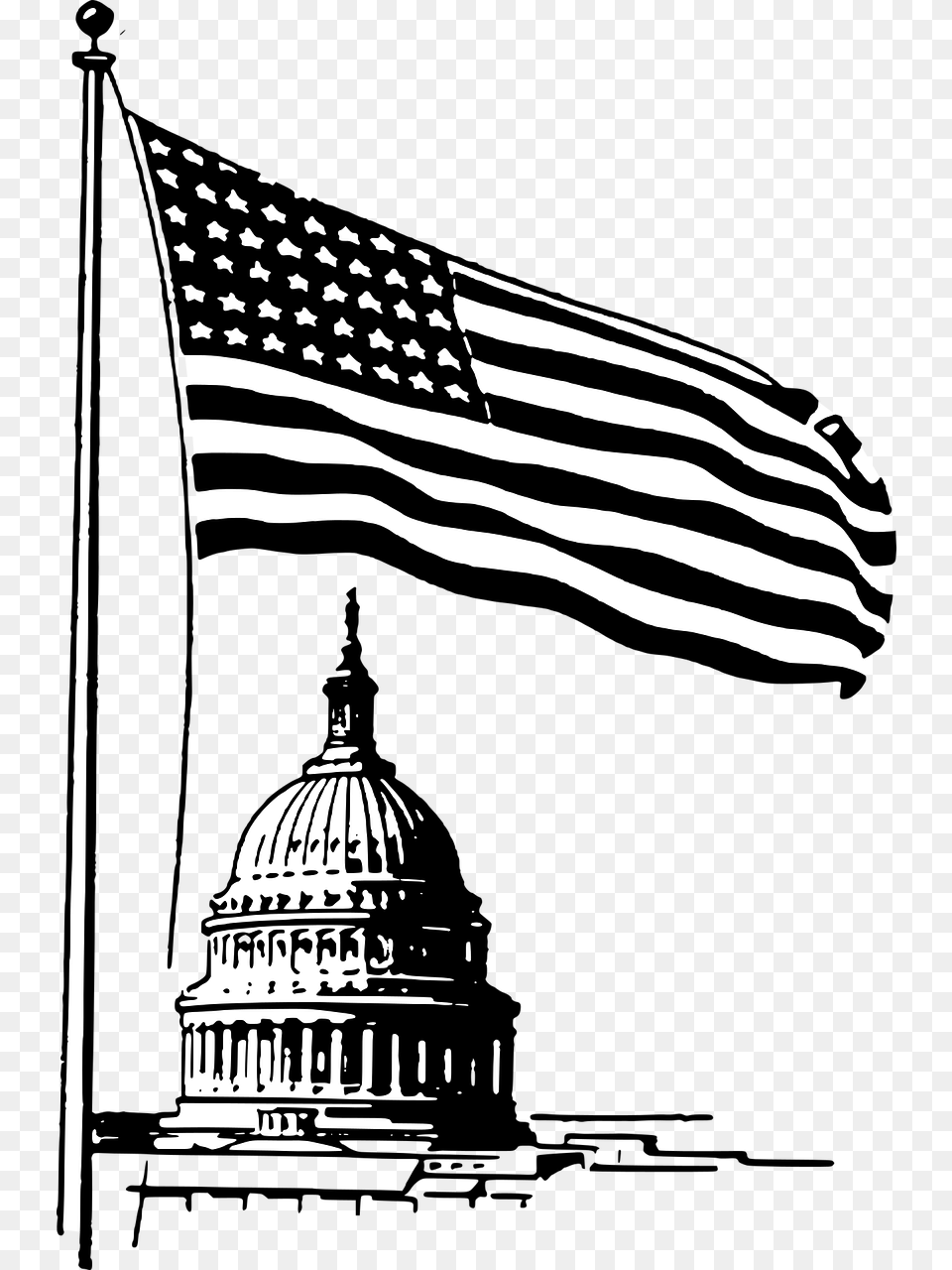 Washington Dc Art Black And White, American Flag, Flag, Animal, Mammal Png