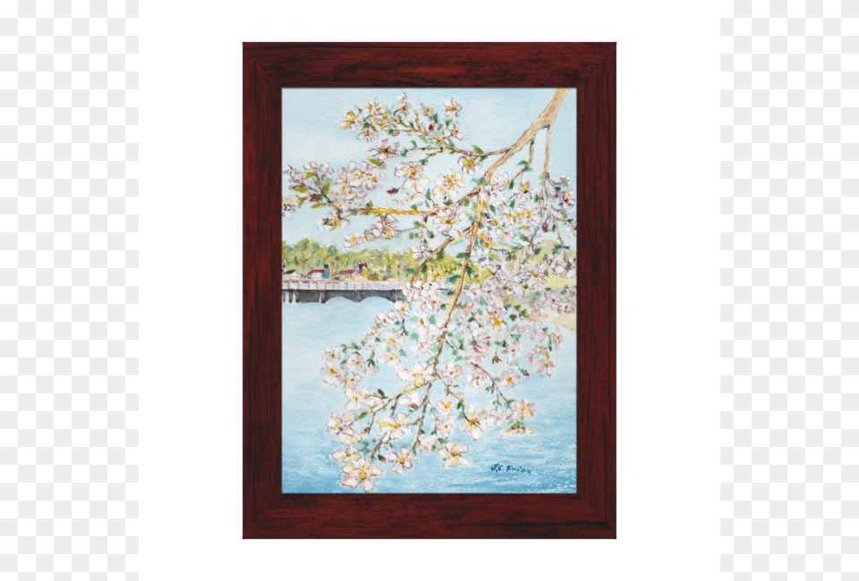 Washington Dc Cherry Blossoms Watercolor Painting Gallery Watercolor Painting, Art, Flower, Plant Png Image