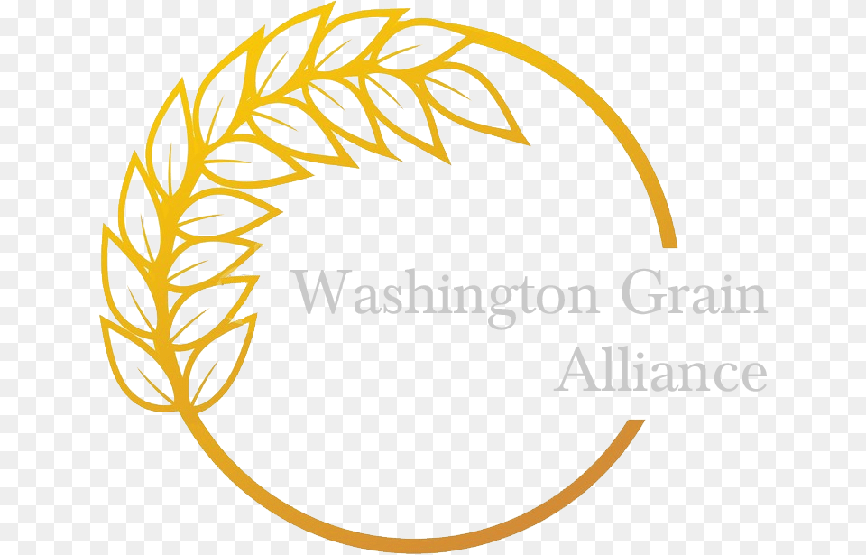 Washington Grain Alliance, Gold Png