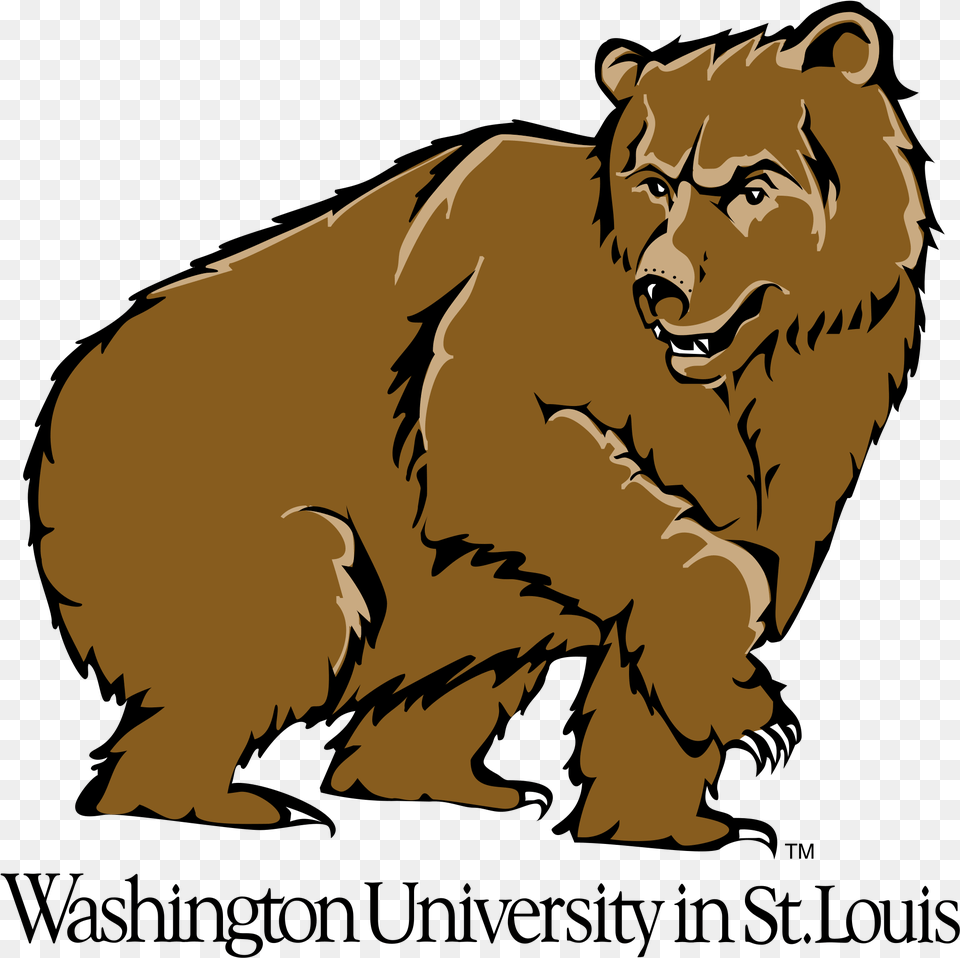 Washington University In St Louis, Animal, Lion, Mammal, Wildlife Free Png