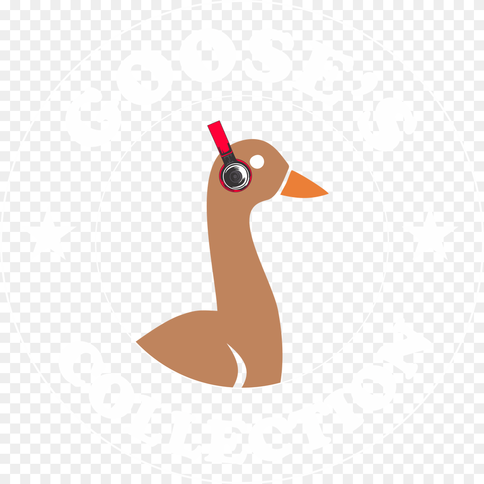 Washington Wizards Logo, Animal, Beak, Bird, Waterfowl Png