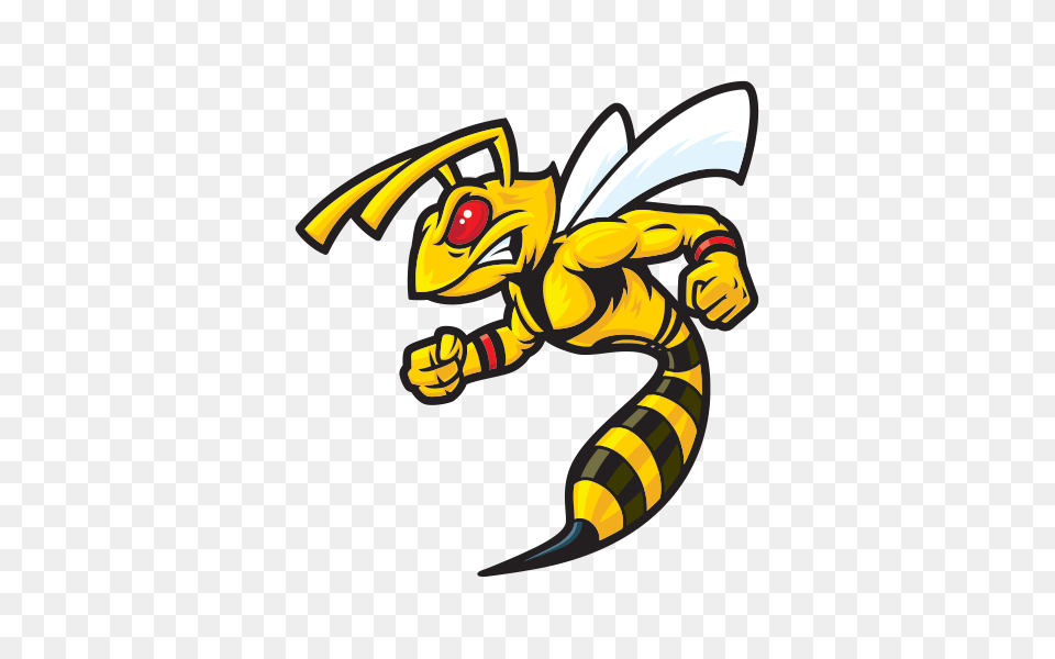 Wasp, Animal, Bee, Insect, Invertebrate Free Png