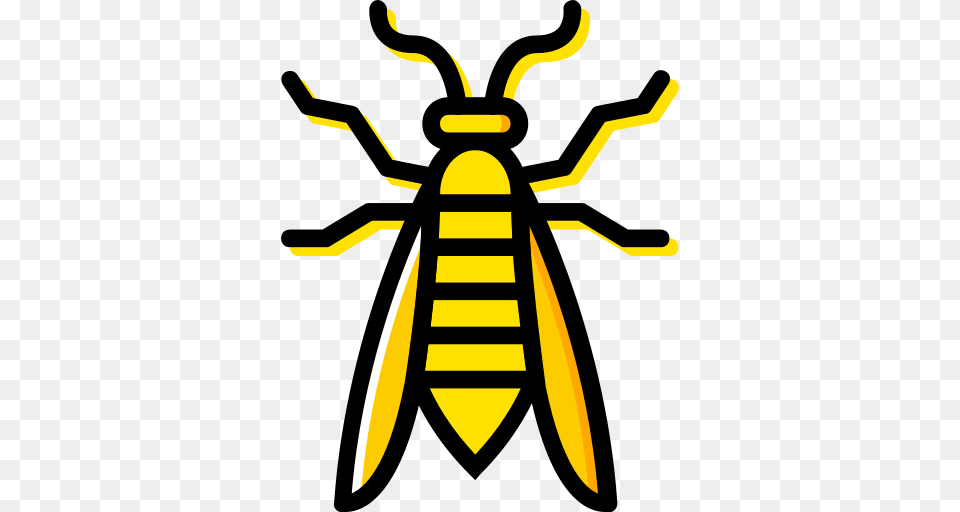 Wasp, Animal, Bee, Insect, Invertebrate Free Png Download