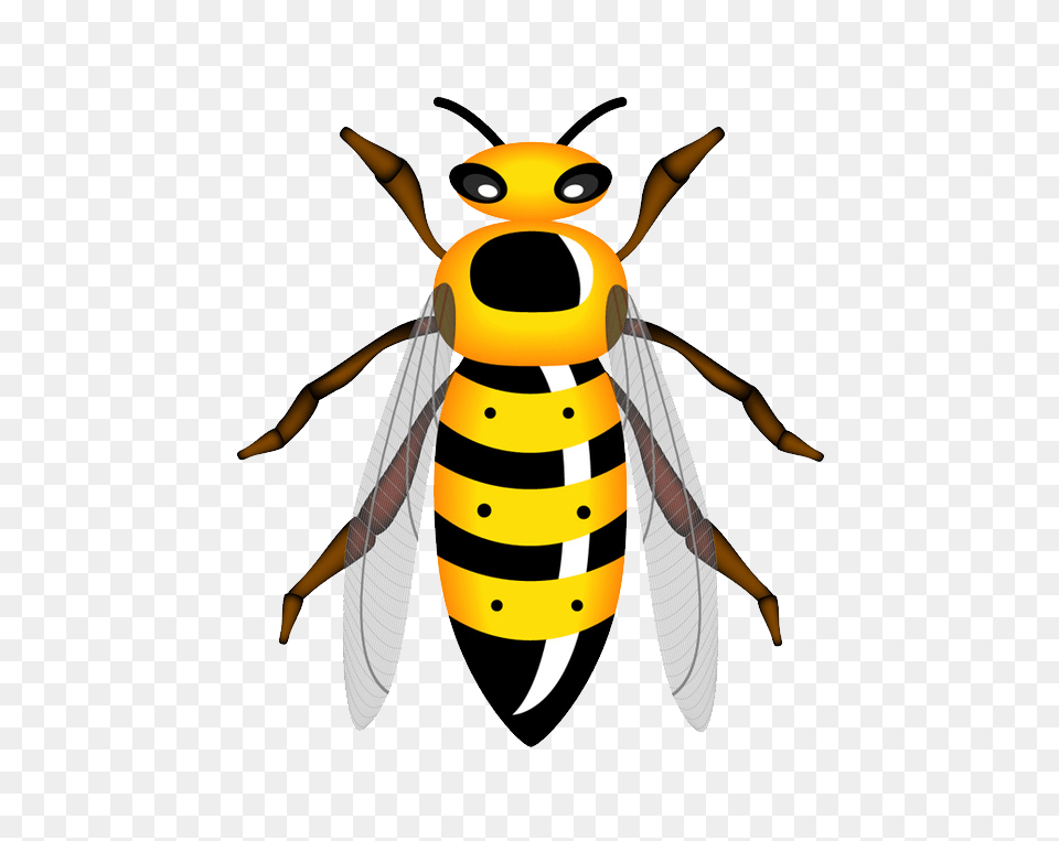 Wasp, Animal, Bee, Insect, Invertebrate Free Png
