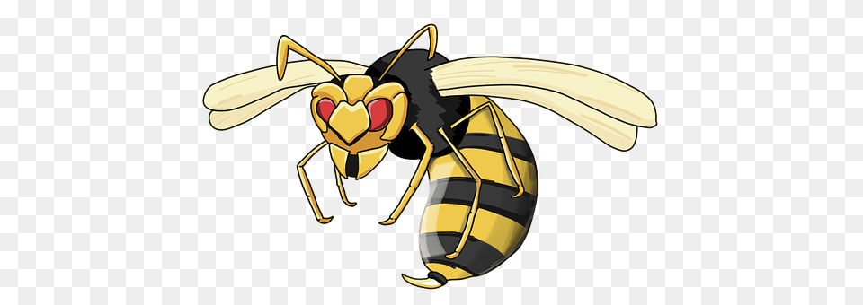 Wasp Invertebrate, Insect, Bee, Animal Free Png