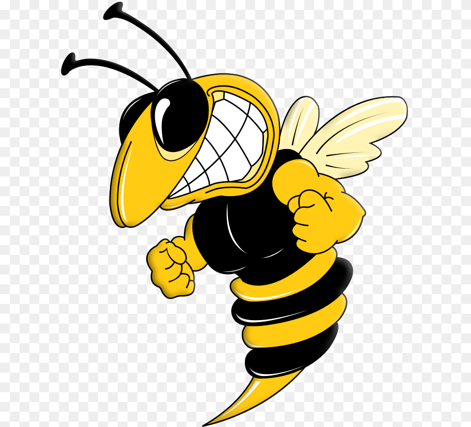 Wasp, Animal, Invertebrate, Insect, Bee Png