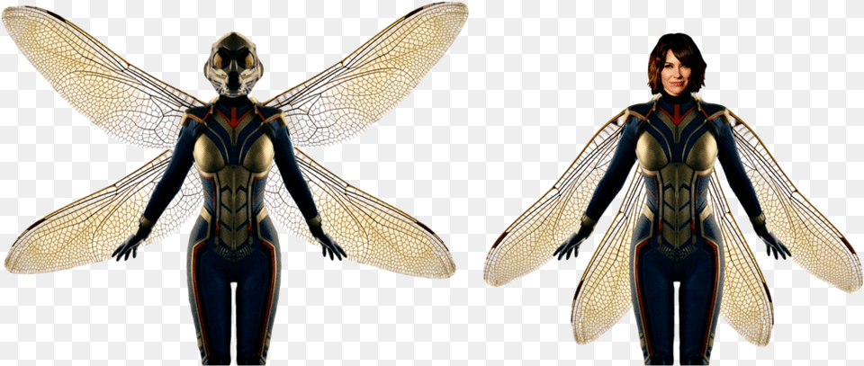 Wasp Ant Man And The Wasp, Animal, Bee, Invertebrate, Insect Free Transparent Png