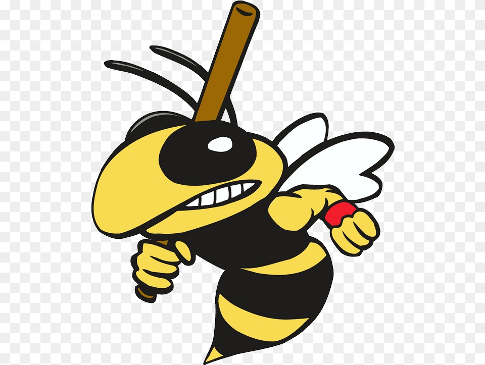 Wasp Bee With Baseball Bat, Animal, Insect, Invertebrate, Honey Bee Free Transparent Png