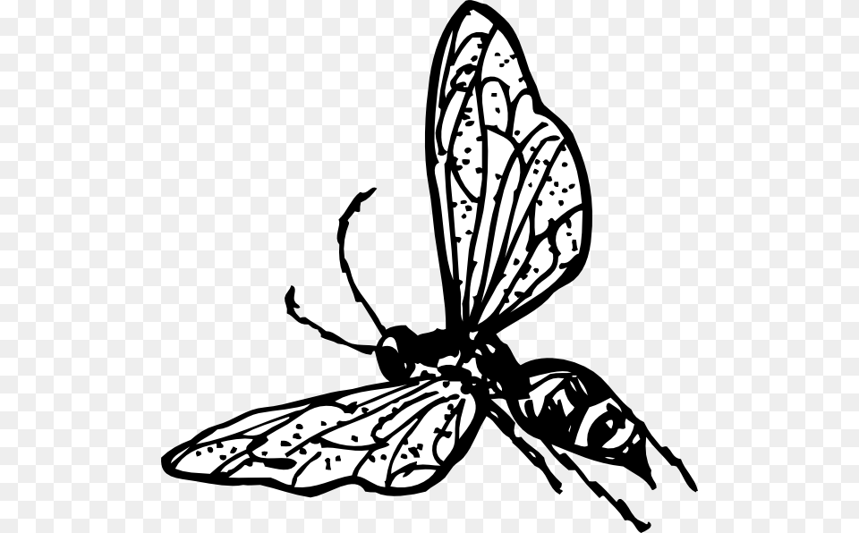 Wasp Clip Art Vector, Animal, Bee, Insect, Invertebrate Free Png