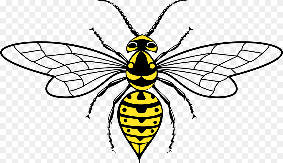 Wasp Clipart, Animal, Bee, Insect, Invertebrate Free Transparent Png