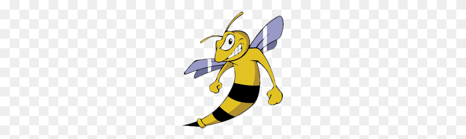 Wasp Clipart Transparent, Animal, Bee, Honey Bee, Insect Png Image