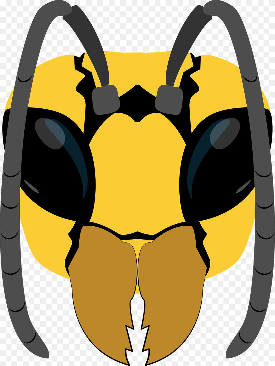 Wasp Face Clipart, Animal, Bee, Insect, Invertebrate Png Image