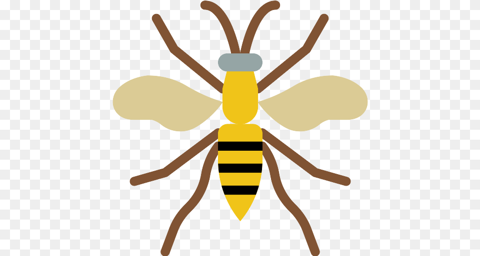 Wasp Icon Honeybee, Animal, Bee, Insect, Invertebrate Png Image