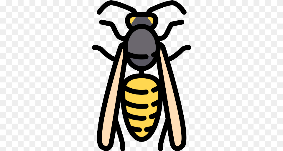 Wasp Icon Wasp, Animal, Bee, Insect, Invertebrate Free Png Download