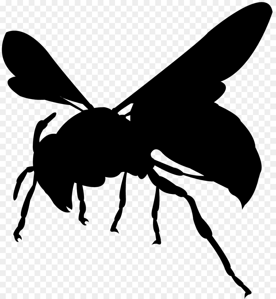 Wasp Silhouette, Animal, Bee, Insect, Invertebrate Free Png Download