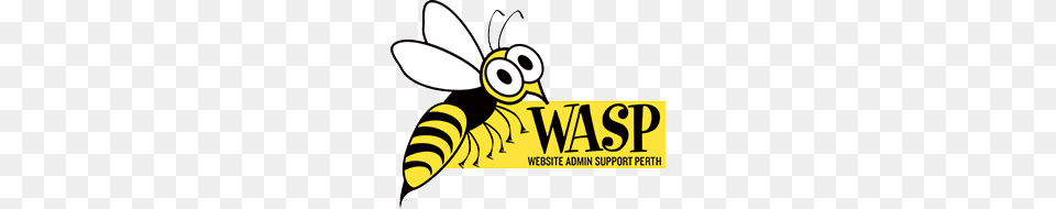 Wasp Website Admin Support Perth, Animal, Bee, Insect, Invertebrate Png Image