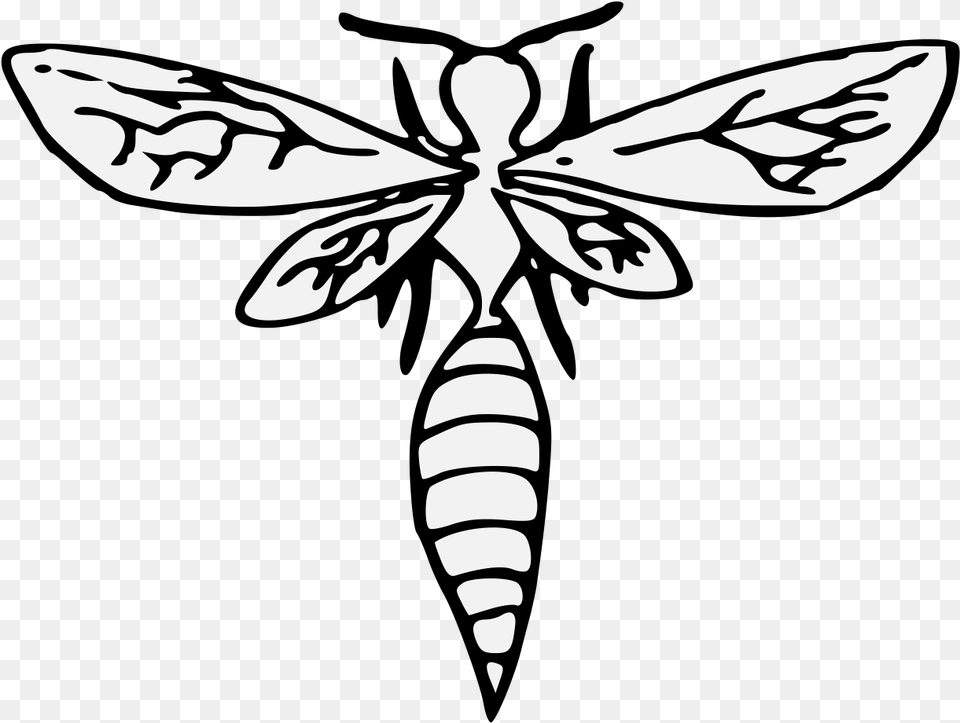Wasp Wings Clip Art, Animal, Bee, Insect, Invertebrate Free Png Download