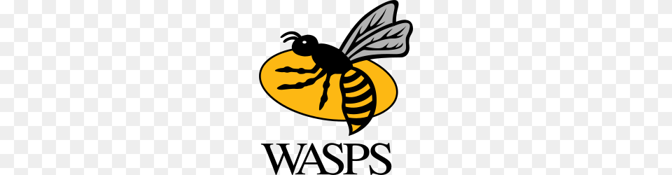 Wasps Rfc, Animal, Bee, Honey Bee, Insect Png