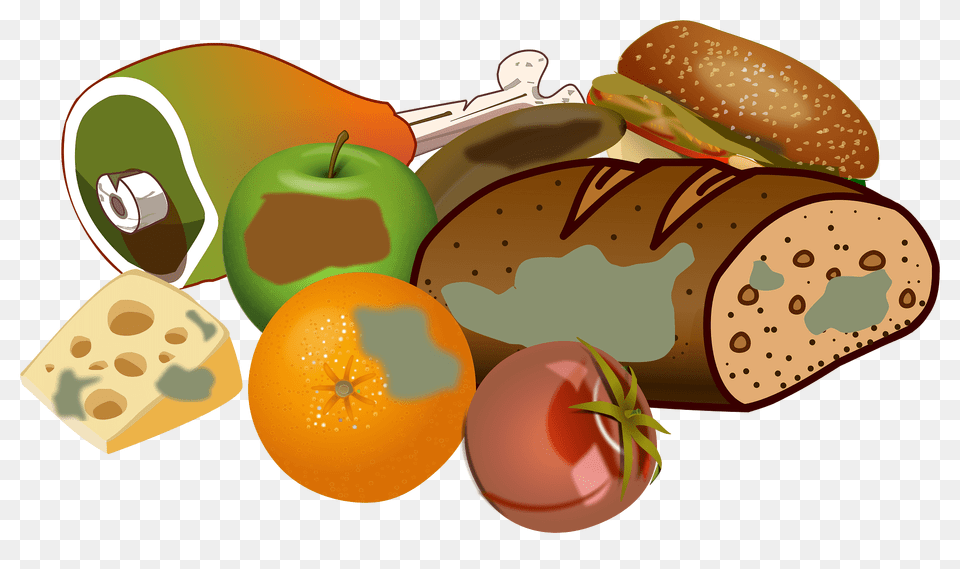 Wasting Food Clipart, Lunch, Meal, Burger, Egg Free Png