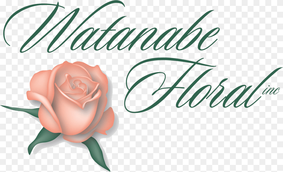 Watanabe Floral Flower Delivery Voted Hawaiiu0027s Best Florist Watanabe Floral, Plant, Rose, Text Free Png