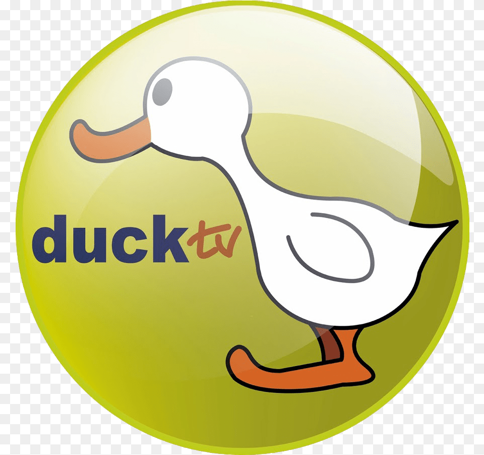 Watch Duck Tv Duck Tv Logo, Animal, Bird, Ball, Football Png
