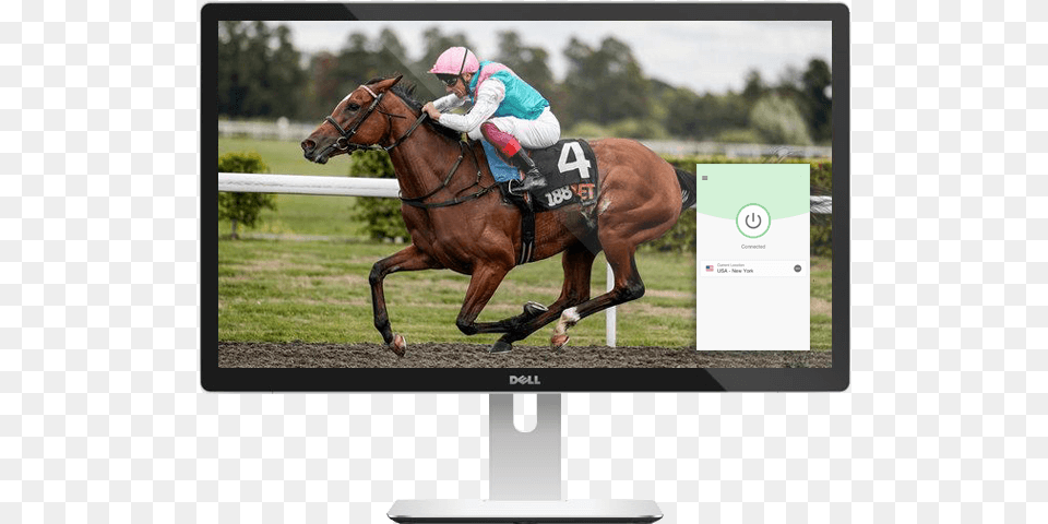 Watch Horse Racing Live On Any Device With Expressvpn Enable Racehorse, Adult, Screen, Person, Monitor Png
