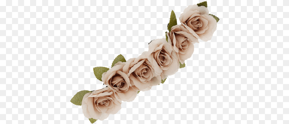 Watch Out For The Others Flower Crowns Decorative, Flower Arrangement, Flower Bouquet, Plant, Rose Png