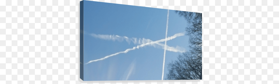 Watching Airplanes Canvas Print Tree, Cloud, Nature, Outdoors, Sky Free Png