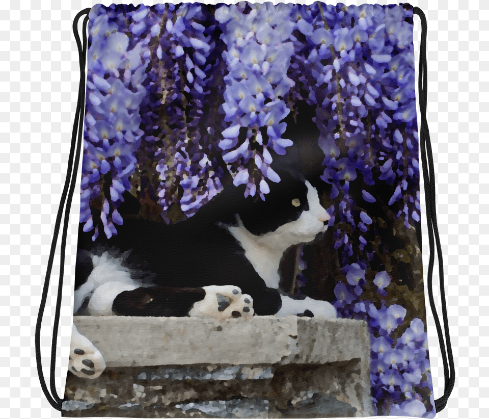 Watching From The Wisteria Wristlet, Flower, Plant, Purple, Lupin Png