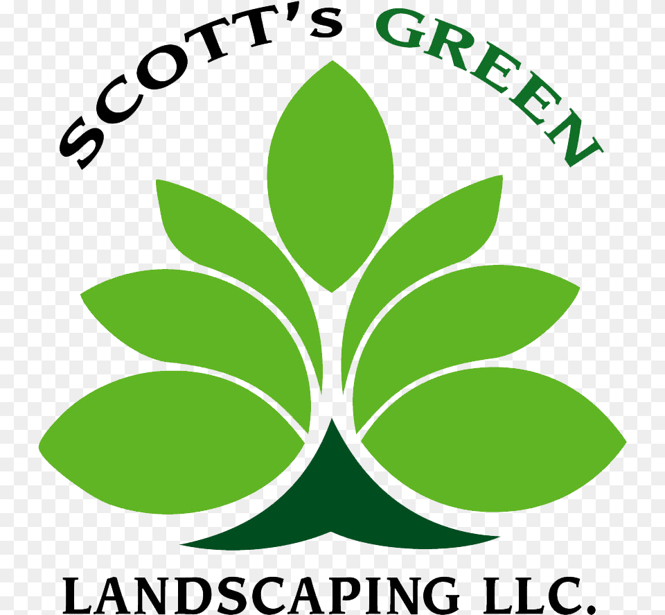 Watchung Nj Lawn And Landscape Services, Green, Leaf, Plant, Herbal Free Png