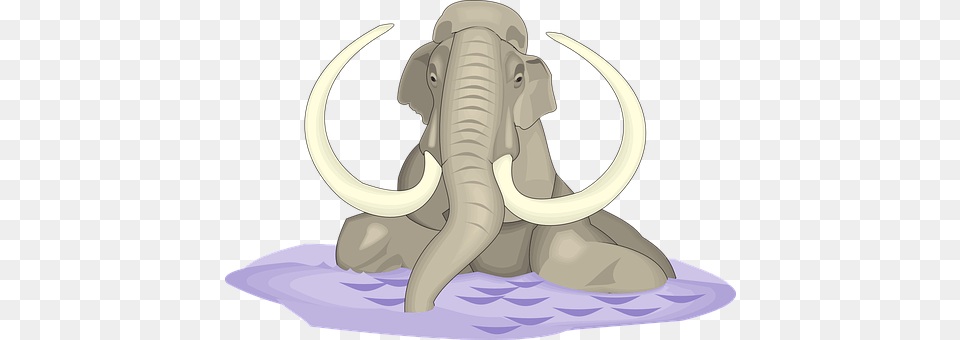 Water Animal, Elephant, Mammal, Wildlife Free Png Download