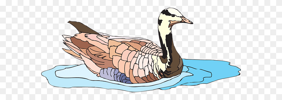 Water Animal, Bird, Goose, Waterfowl Free Png