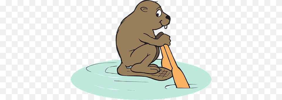 Water Animal, Mammal, Wildlife, Beaver Png Image