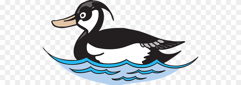 Water Animal, Bird, Duck, Fish Png Image