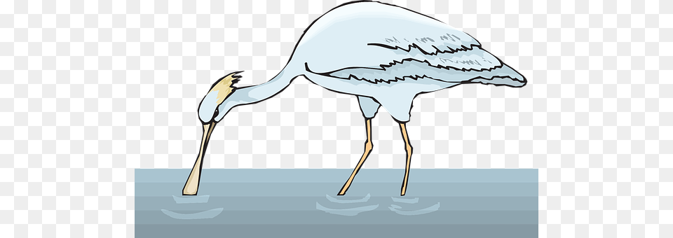 Water Animal, Bird, Crane Bird, Waterfowl Free Png Download