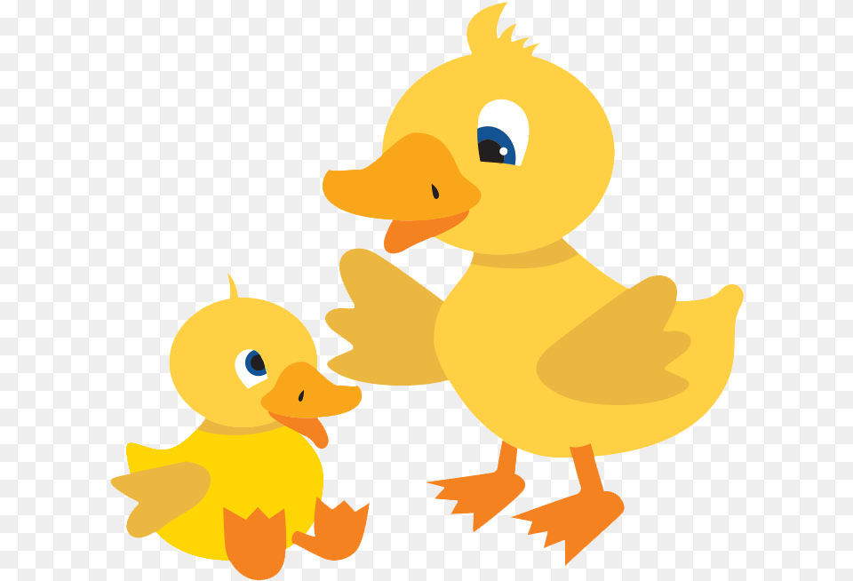 Water Baby Puddle Ducks Swim Academy Cartoon Duck Transparent, Animal, Bird, Person Png