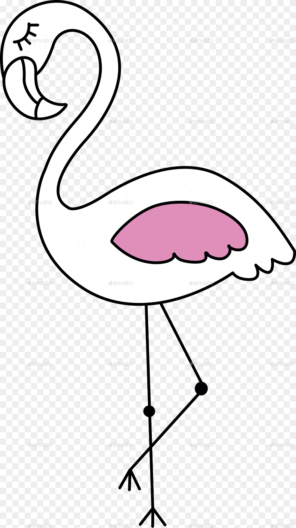 Water Bird, Animal, Flamingo, Face, Head Png