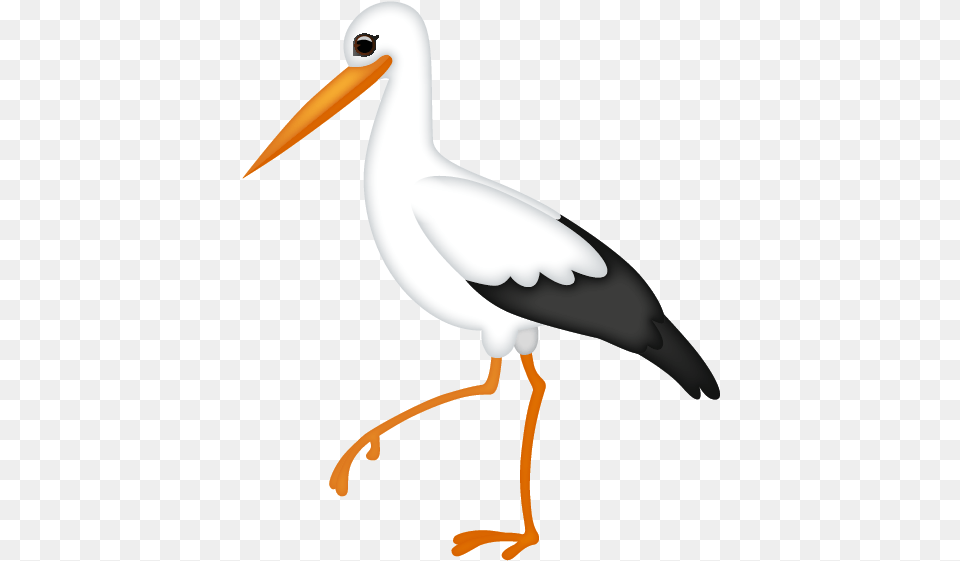 Water Bird, Animal, Stork, Waterfowl, Crane Bird Png Image