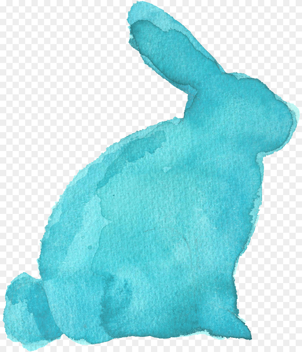 Water Blue Rabbit Domestic Rabbit, Animal, Mammal, Baby, Person Free Transparent Png